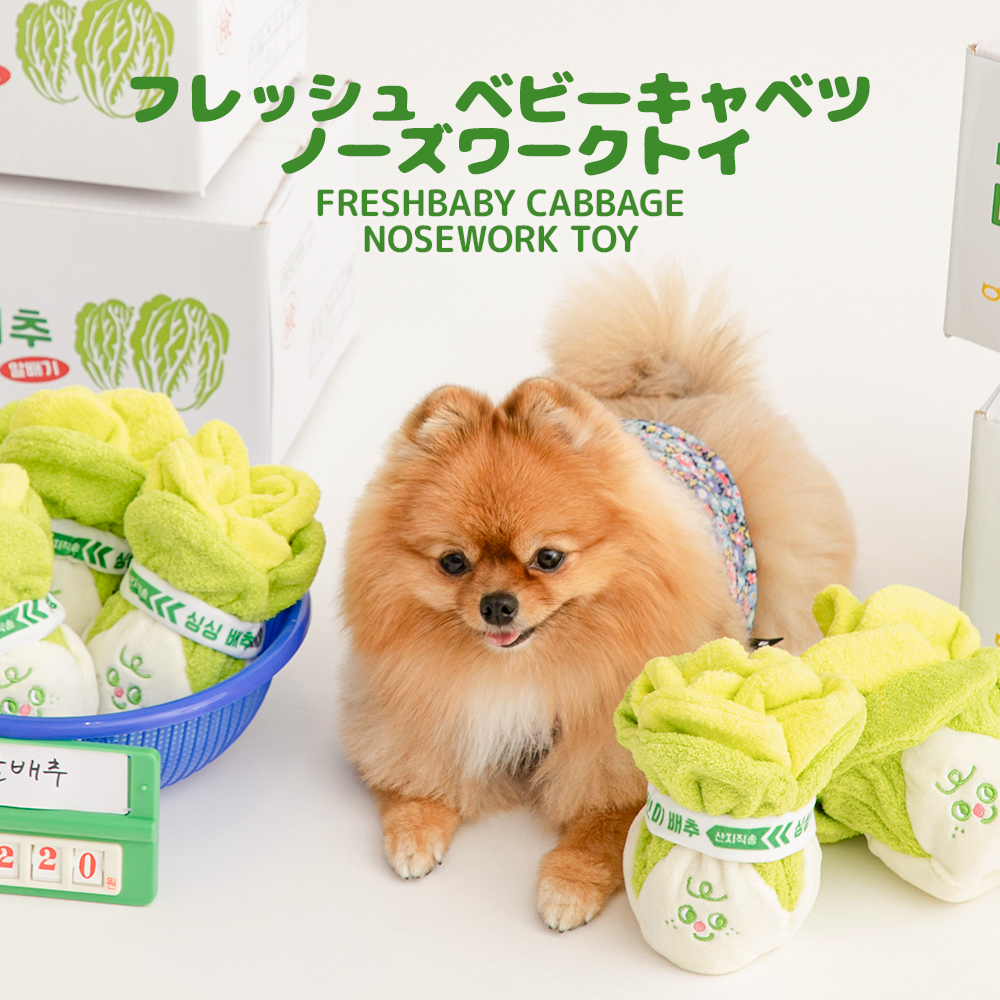 次回入荷8月末～9月頃】フレッシュ ベビーキャベツ ノーズワークトイ